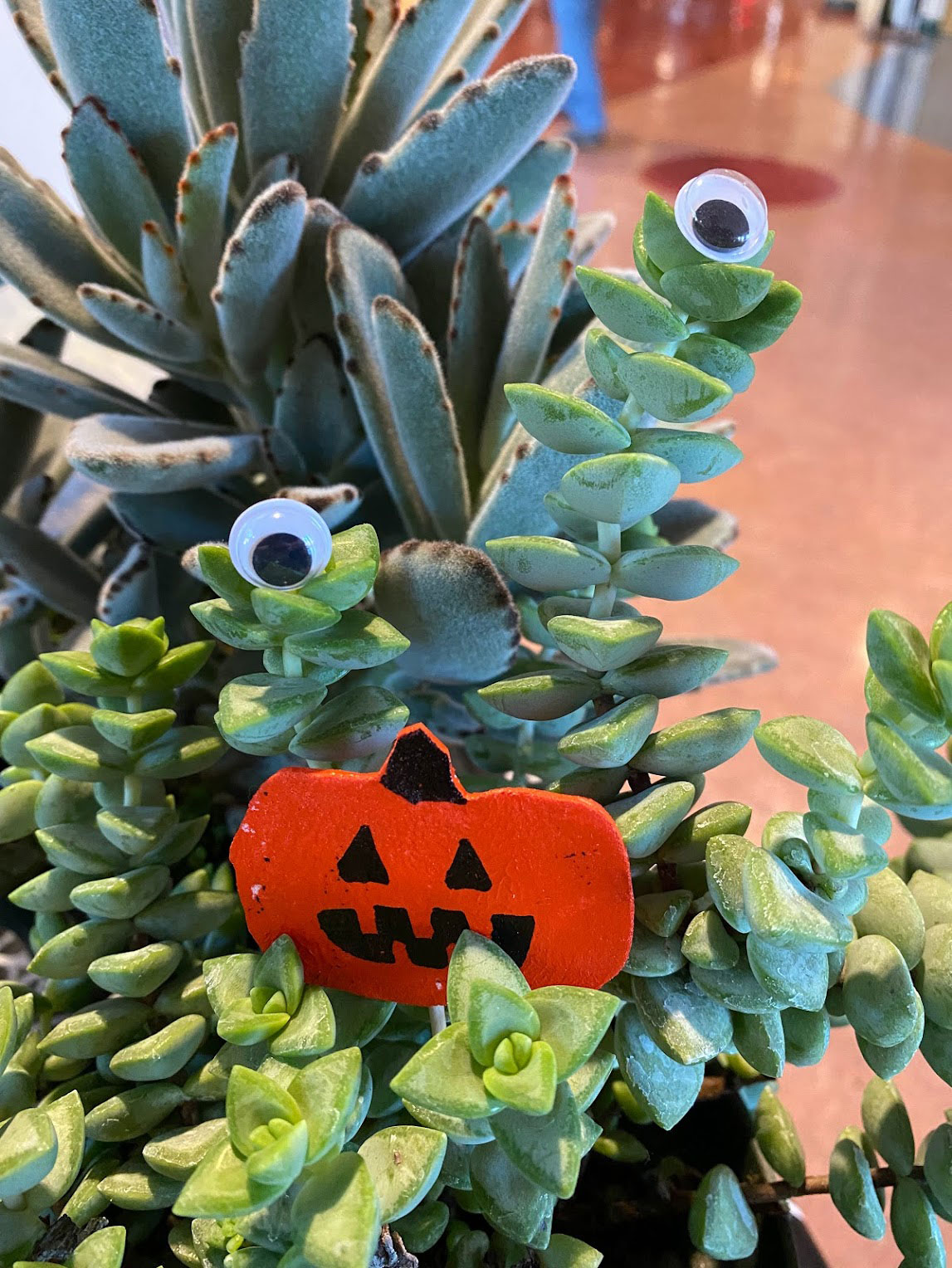 Plant with halloween decorations