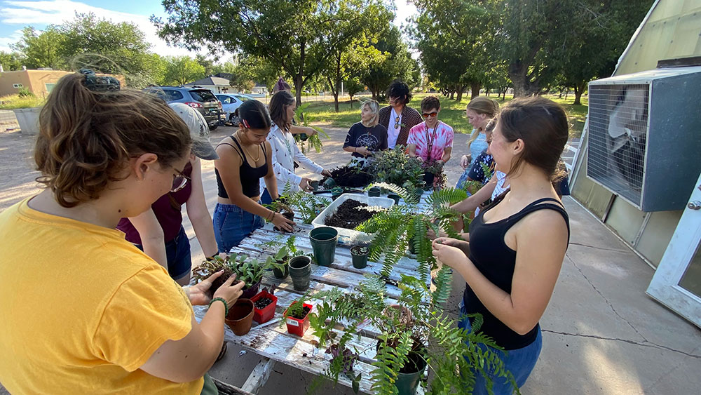 Students handling plants at plant sale